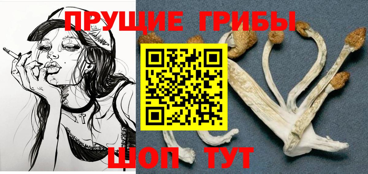 Галлюциногенные грибы GOLDEN TEACHER  Вход с VPN  Котельники 